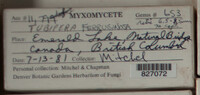Image Associated With the Occurence